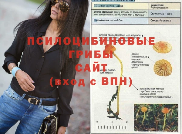ГАЛЛЮЦИНОГЕННЫЕ ГРИБЫ Баксан