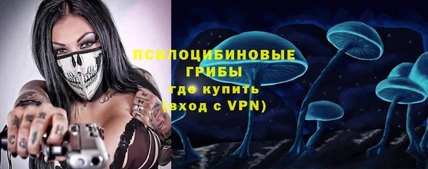 амф Аркадак